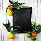 Compostable Courier Bag A5 180x280mm (pack of 100)